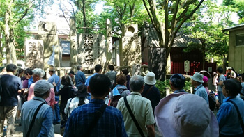 富岡八幡宮の画像
