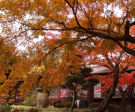 小石川後楽園 涵徳亭